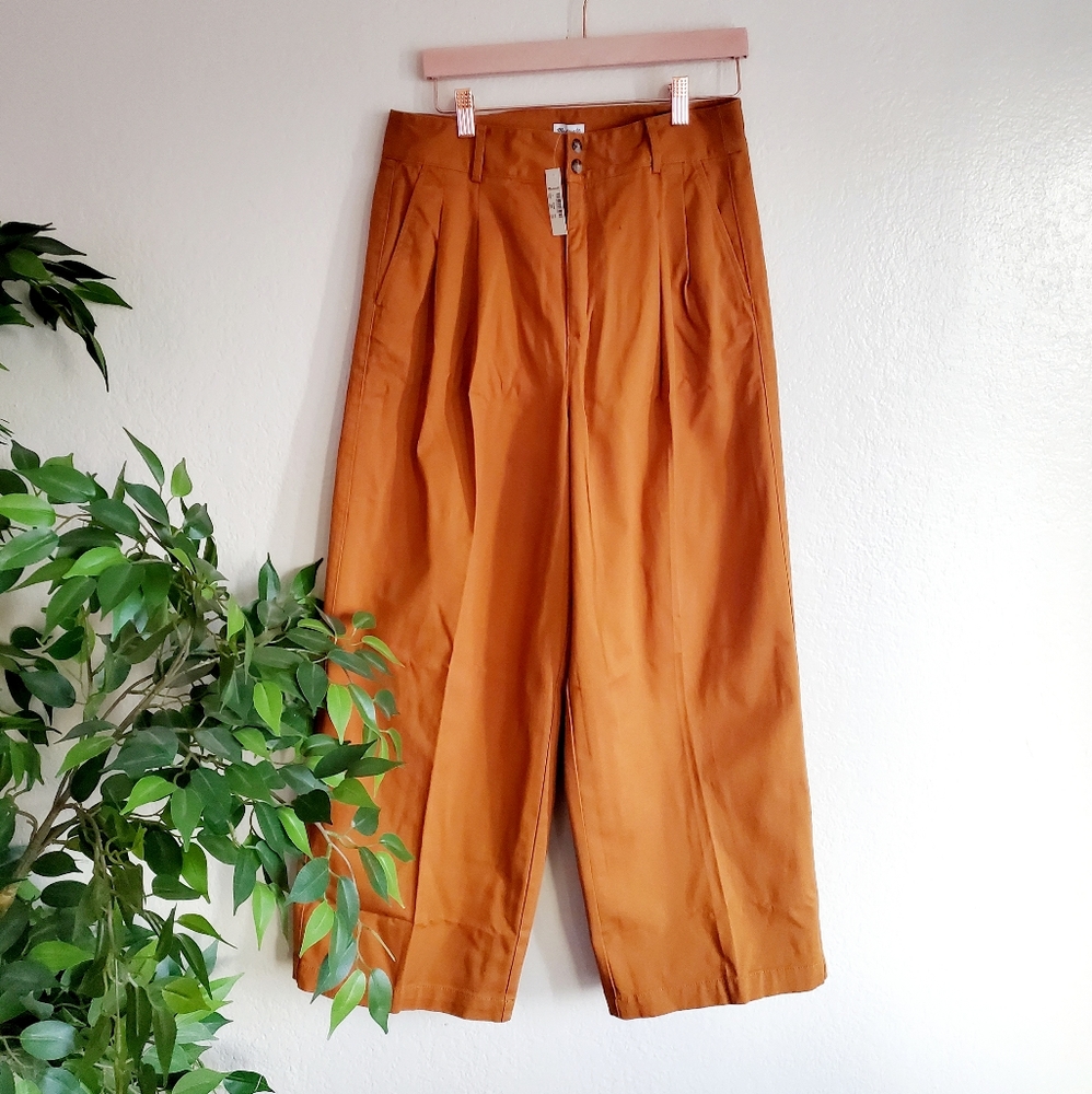 Madewell Pleated Wide Leg Pants - Picture 2 of 6